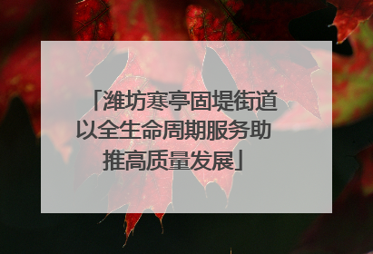 潍坊寒亭固堤街道以全生命周期服务助推高质量发展