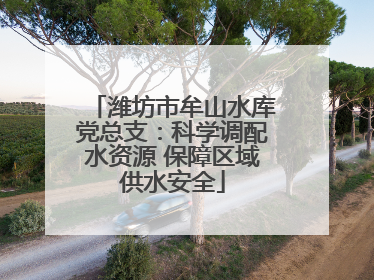 潍坊市牟山水库党总支：科学调配水资源 保障区域供水安全