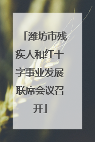 潍坊市残疾人和红十字事业发展联席会议召开