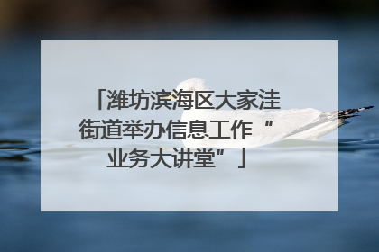 潍坊滨海区大家洼街道举办信息工作“业务大讲堂”