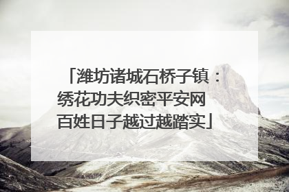 潍坊诸城石桥子镇：绣花功夫织密平安网 百姓日子越过越踏实