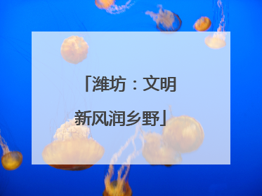 潍坊：文明新风润乡野