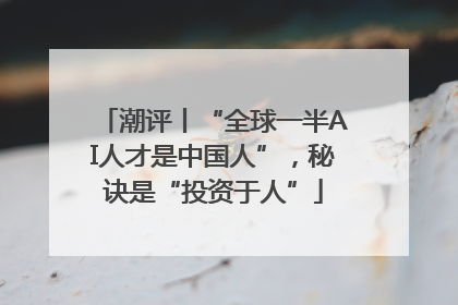 潮评丨“全球一半AI人才是中国人”，秘诀是“投资于人”