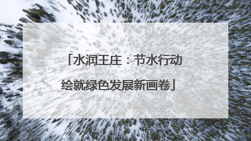 水润王庄：节水行动绘就绿色发展新画卷