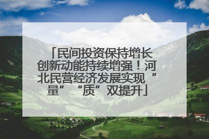 民间投资保持增长 创新动能持续增强！河北民营经济发展实现“量”“质”双提升