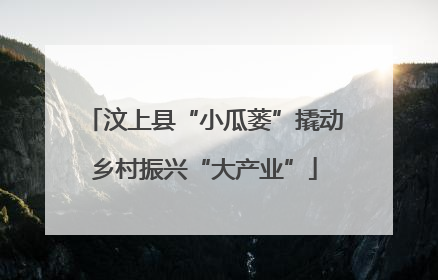 汶上县“小瓜蒌”撬动乡村振兴“大产业”