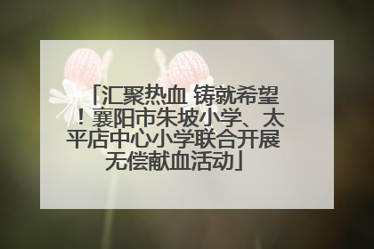 汇聚热血 铸就希望！襄阳市朱坡小学、太平店中心小学联合开展无偿献血活动