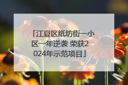 江夏区纸坊街一小区一年逆袭 荣获2024年示范项目