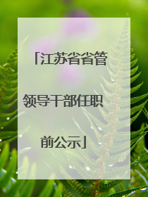 江苏省省管领导干部任职前公示