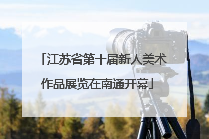 江苏省第十届新人美术作品展览在南通开幕