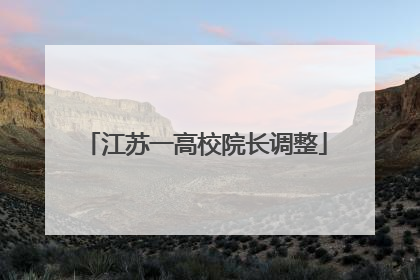 江苏一高校院长调整