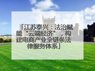 江苏泰兴：法治赋能“云端经济”，构建电商产业全链条法律服务体系