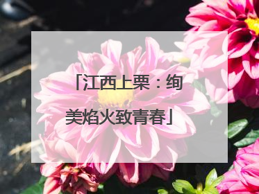 江西上栗：绚美焰火致青春