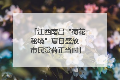 江西南昌“荷花秘境”夏日盛放 市民赏荷正当时