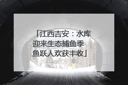 江西吉安：水库迎来生态捕鱼季 鱼跃人欢获丰收