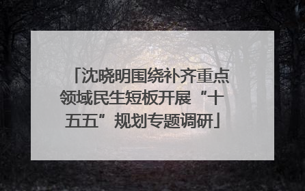 沈晓明围绕补齐重点领域民生短板开展“十五五”规划专题调研