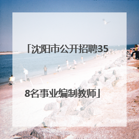 沈阳市公开招聘358名事业编制教师