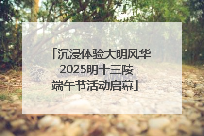 沉浸体验大明风华 2025明十三陵端午节活动启幕