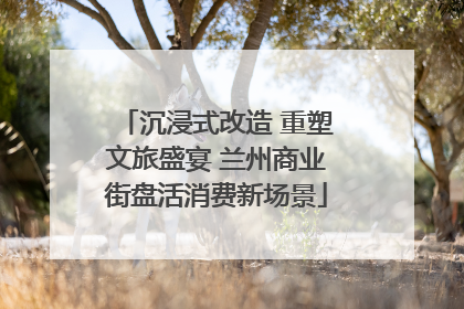 沉浸式改造 重塑文旅盛宴 兰州商业街盘活消费新场景