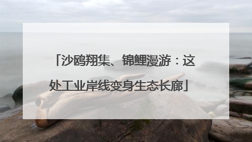 沙鸥翔集、锦鲤漫游：这处工业岸线变身生态长廊