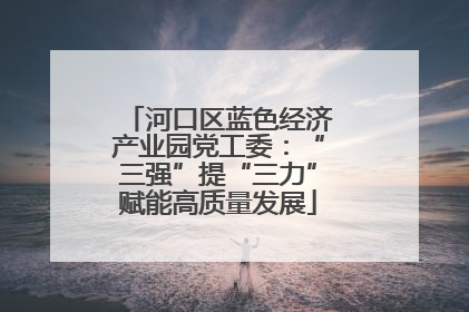 河口区蓝色经济产业园党工委：“三强”提“三力”赋能高质量发展