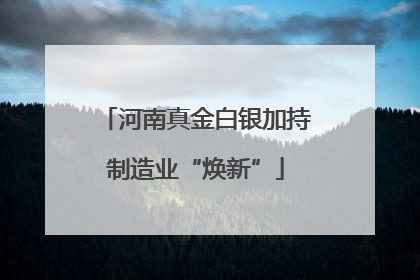 河南真金白银加持制造业“焕新”