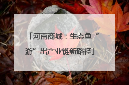 河南商城：生态鱼“游”出产业链新路径