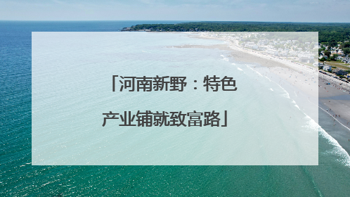 河南新野：特色产业铺就致富路