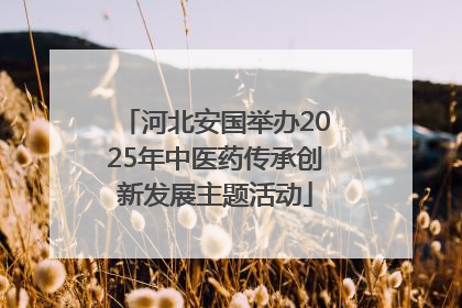 河北安国举办2025年中医药传承创新发展主题活动