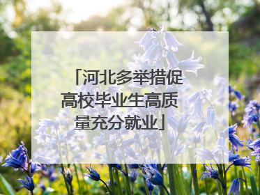 河北多举措促高校毕业生高质量充分就业