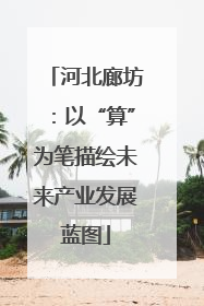 河北廊坊：以“算”为笔描绘未来产业发展蓝图