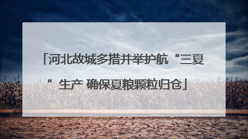 河北故城多措并举护航“三夏”生产 确保夏粮颗粒归仓