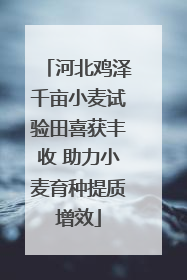 河北鸡泽千亩小麦试验田喜获丰收 助力小麦育种提质增效