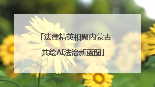 法律精英相聚内蒙古 共绘AI法治新蓝图