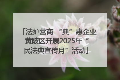 法护营商 “典”惠企业 黄陂区开展2025年“民法典宣传月”活动
