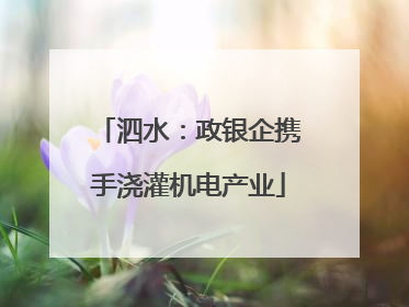 泗水：政银企携手浇灌机电产业