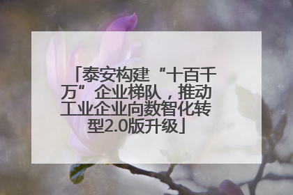 泰安构建“十百千万”企业梯队，推动工业企业向数智化转型2.0版升级
