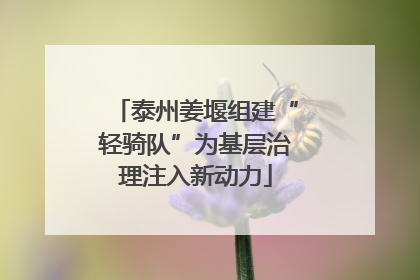 泰州姜堰组建“轻骑队”为基层治理注入新动力