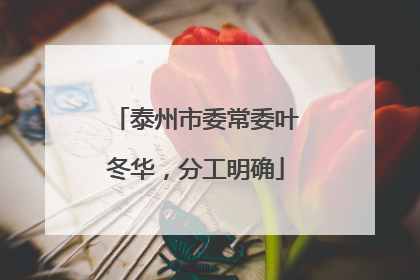 泰州市委常委叶冬华，分工明确