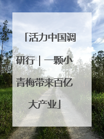 活力中国调研行｜一颗小青梅带来百亿大产业