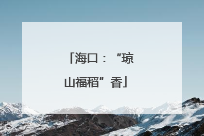 海口：“琼山福稻”香