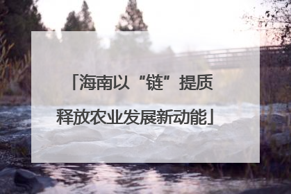 海南以“链”提质 释放农业发展新动能