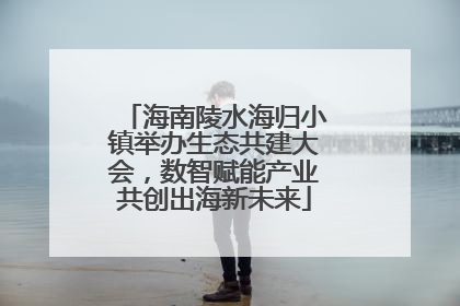 海南陵水海归小镇举办生态共建大会，数智赋能产业共创出海新未来