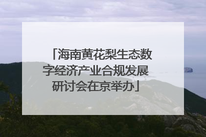 海南黄花梨生态数字经济产业合规发展研讨会在京举办