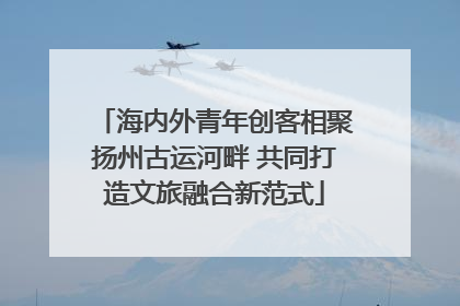 海内外青年创客相聚扬州古运河畔 共同打造文旅融合新范式