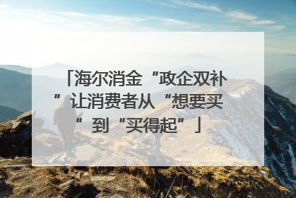 海尔消金“政企双补”让消费者从“想要买”到“买得起”