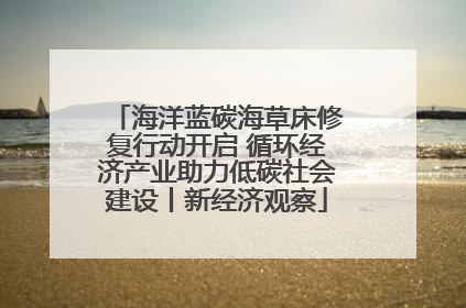 海洋蓝碳海草床修复行动开启 循环经济产业助力低碳社会建设丨新经济观察