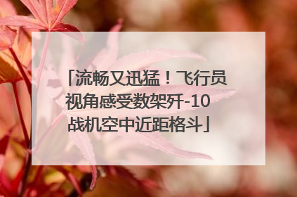 流畅又迅猛！飞行员视角感受数架歼-10战机空中近距格斗