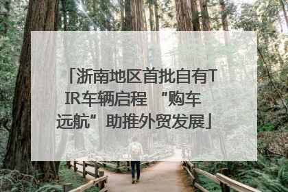 浙南地区首批自有TIR车辆启程 “购车远航”助推外贸发展