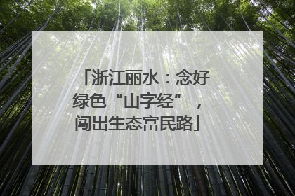 浙江丽水：念好绿色“山字经”，闯出生态富民路